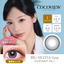 【COCOVIEW(ココビュー)】ビッグシルビア グレー(使用期間1ヶ月)