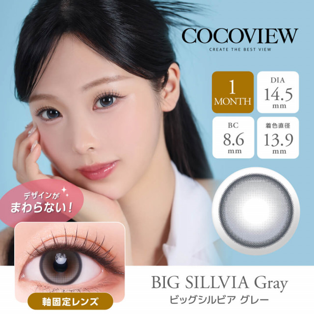 【COCOVIEW(ココビュー)】ビッグシルビア グレー(使用期間1ヶ月)
