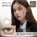 【度あり / 度なし】i-DOL  バッドキャット  ターキッシュブルー(使用期間6ヵ月)