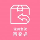 【再発送料】佐川急便