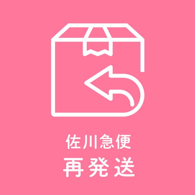 【再発送料】佐川急便